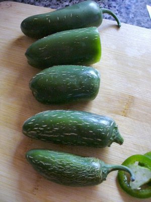 Tam Jalapeño (mild)