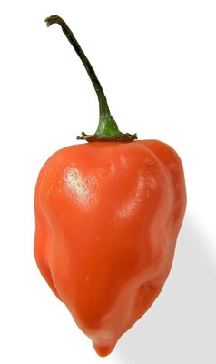 Habanada